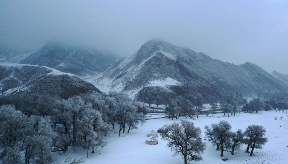 1610330447149809.png 1.png